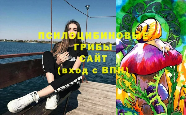 ПСИЛОЦИБИНОВЫЕ ГРИБЫ Абдулино