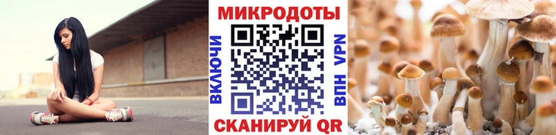 Галлюциногенные грибы ЛСД  Ковдор 